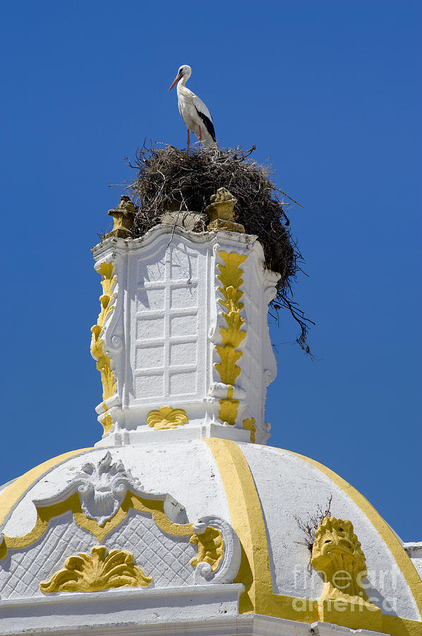 Storks nest on turret Faro Photograph by Mikehoward Photography