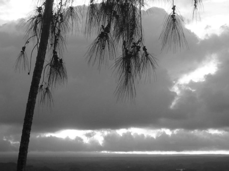Storm Brewing Hawaii Photograph