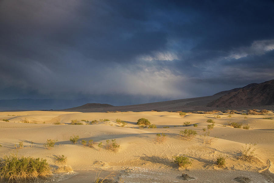 Storm brewing over Mesquite Dunes Photograph by Kunal Mehra