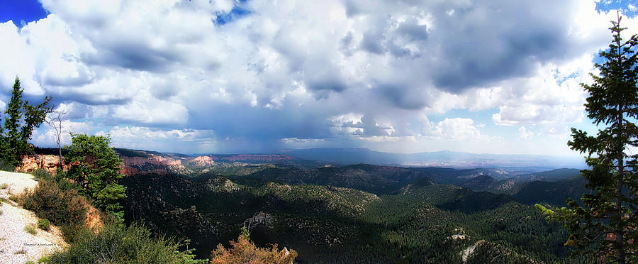 Storm Cell Black Birch Canyon Bryce Canyon Utah Pan 01 Photograph by Thomas Woolworth