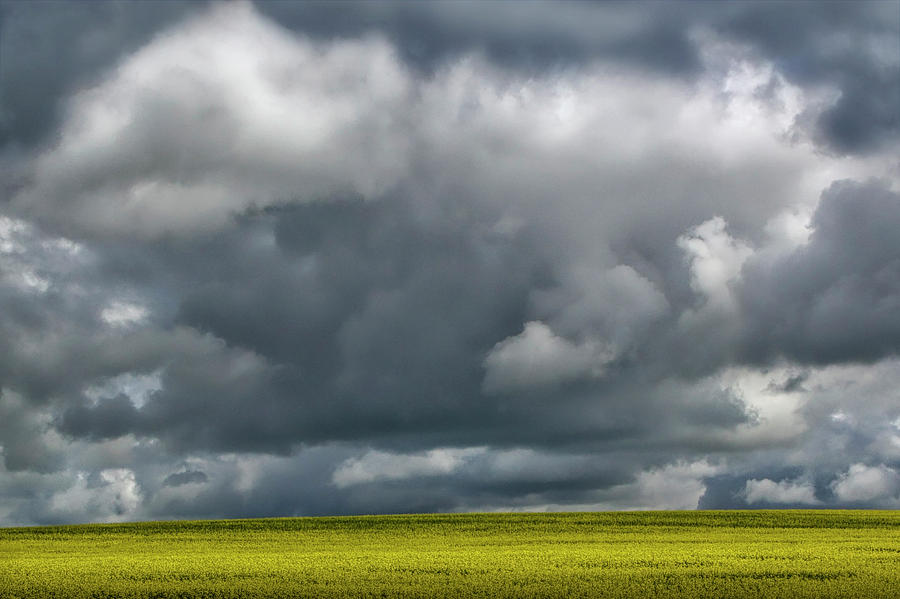 Storm Cloud over a Canola Field Photograph by Randall Nyhof
