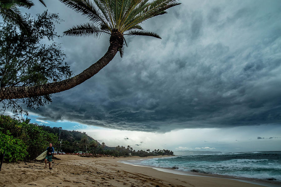 Storm Cloud Palm Photograph by Sean Davey