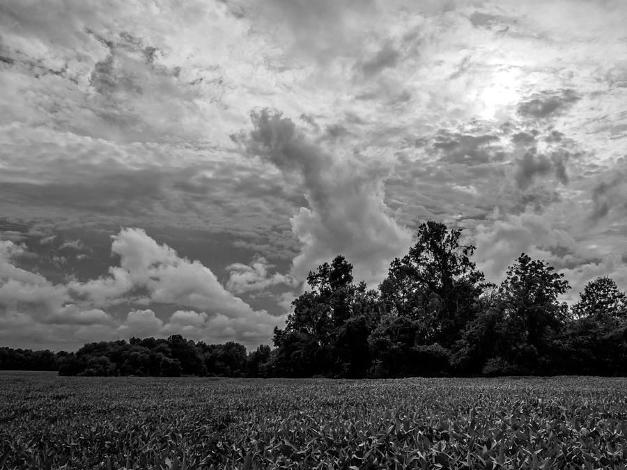 Storm Clouds Photograph by Louis Dallara