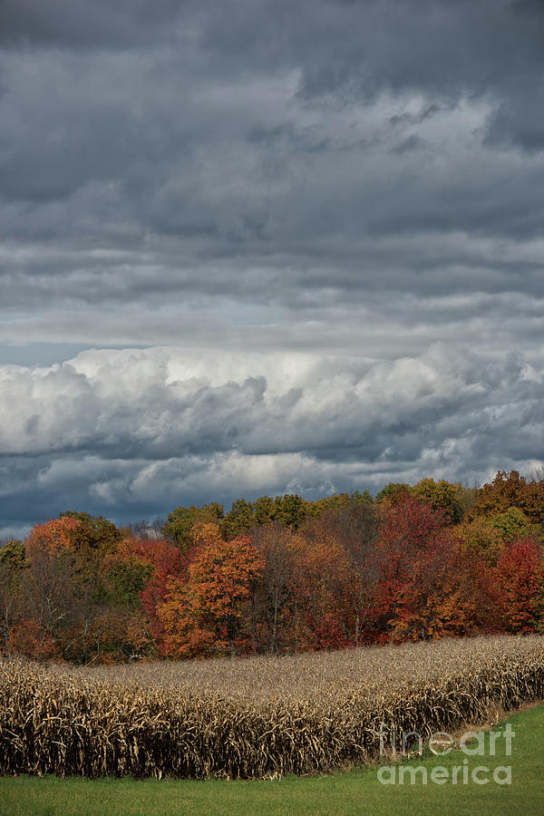 Storm Clouds Photograph by Nicki McManus