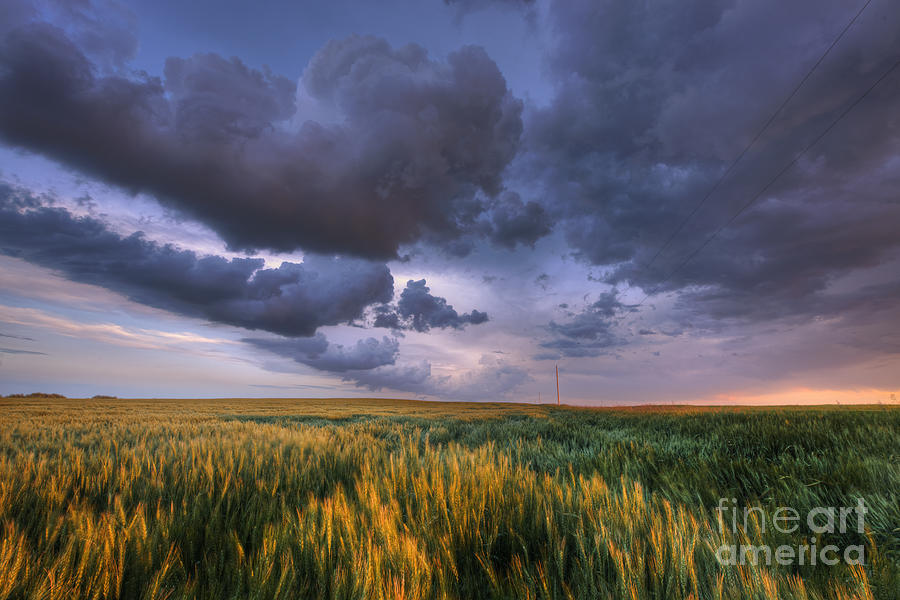 Storm Clouds Over Barley Photograph by Dan Jurak