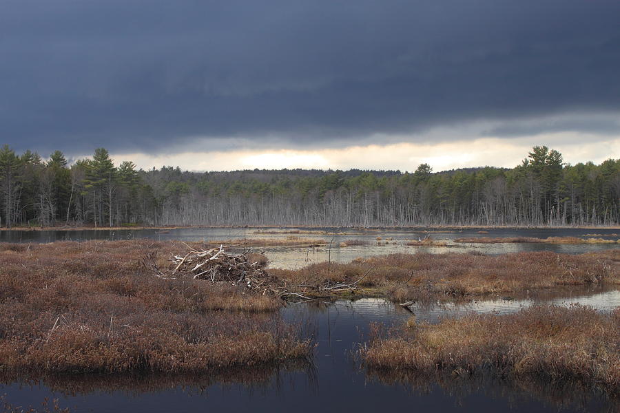 Storm Clouds over Beaver Pond Photograph by John Burk