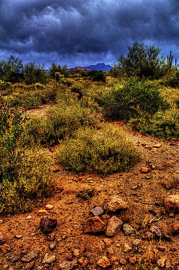 Storm Clouds over the Sonoran Desert in Spring Photograph by Roger Passman