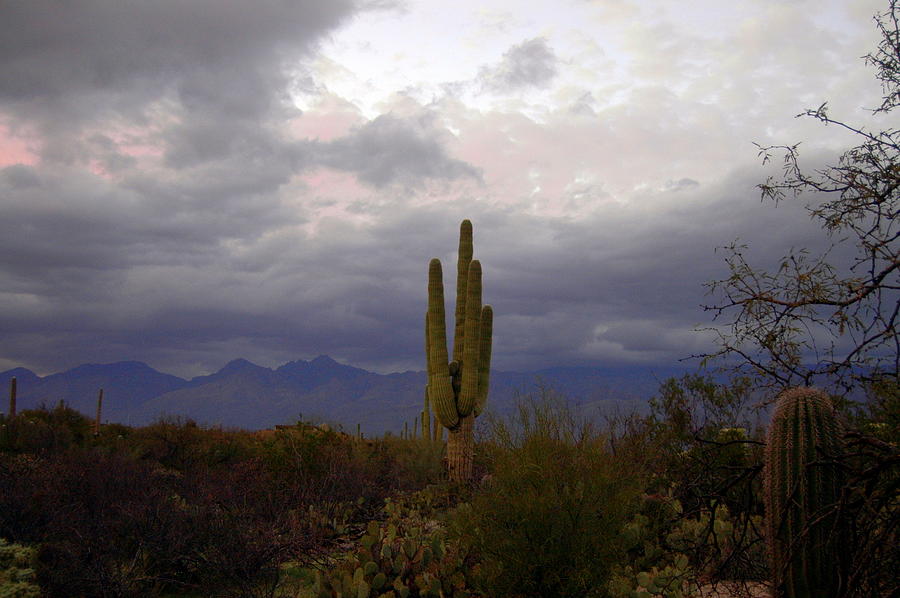 Sunset Photograph - Storm Clouds over Tucson by Teresa Stallings