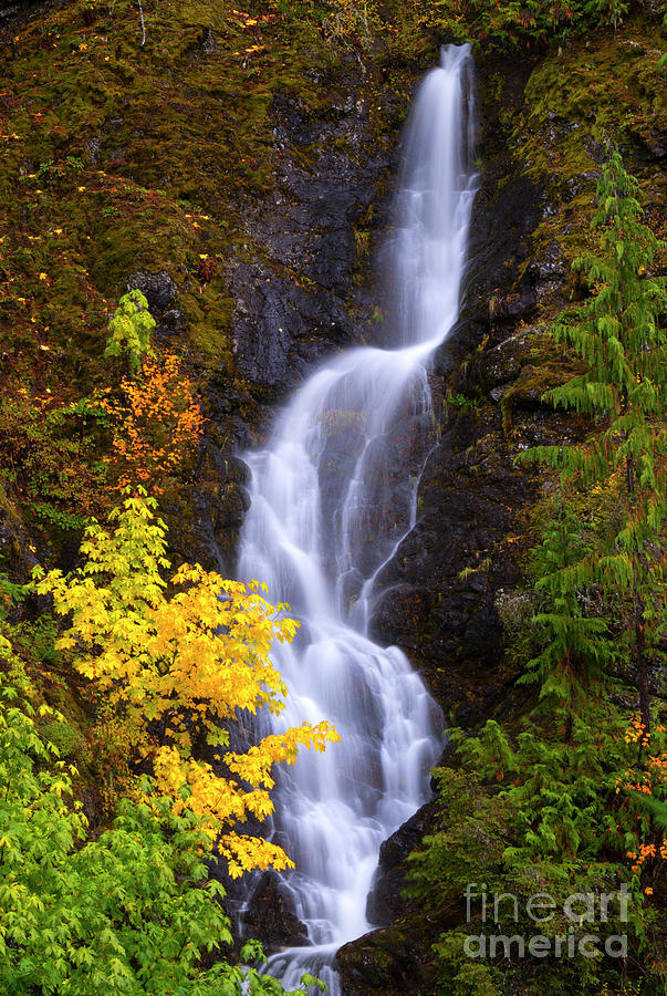 Storm Creek Falls Photograph by Michael Dawson