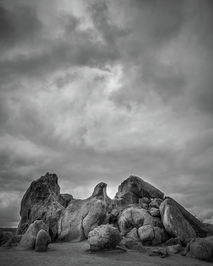 Storm Eagle. Photograph by Joseph Smith