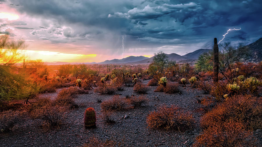 Storm in the Desert Photograph by CEB Imagery - Fine Art America