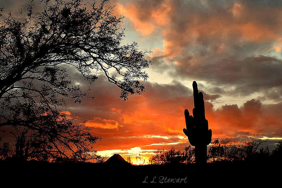 Sunset Photograph - Storm Leaving Late by L L Stewart
