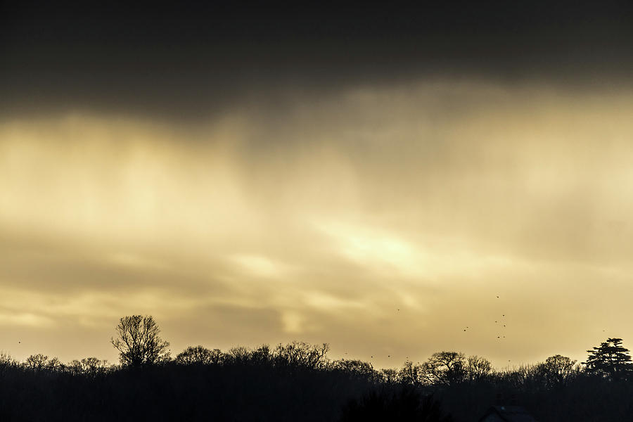 Storm Light Photograph by Gary Rayner - Pixels