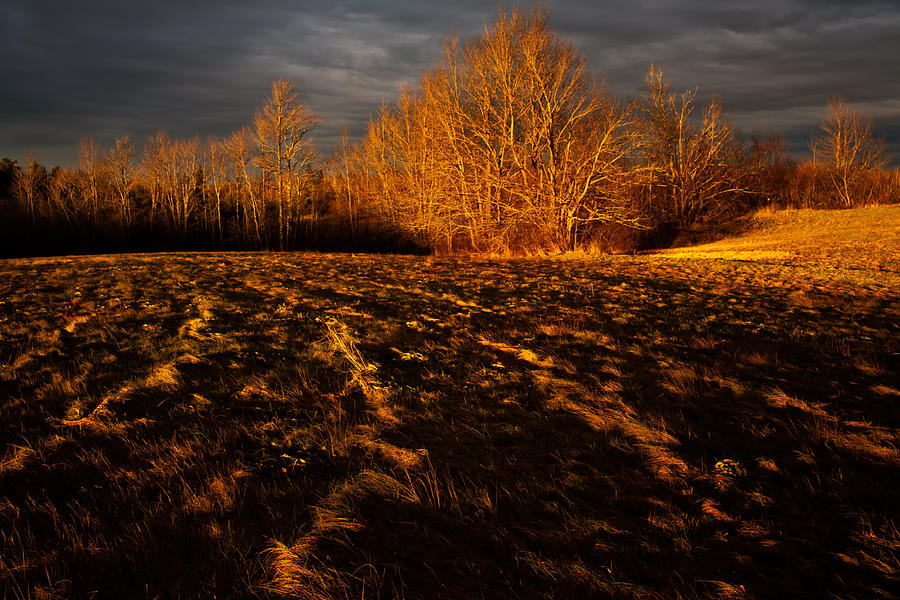 Fall Photograph - Storm Light Oakfield #1 by Irwin Barrett