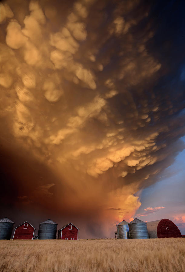 Storm Mammatus Clouds Canada Photograph by Mark Duffy