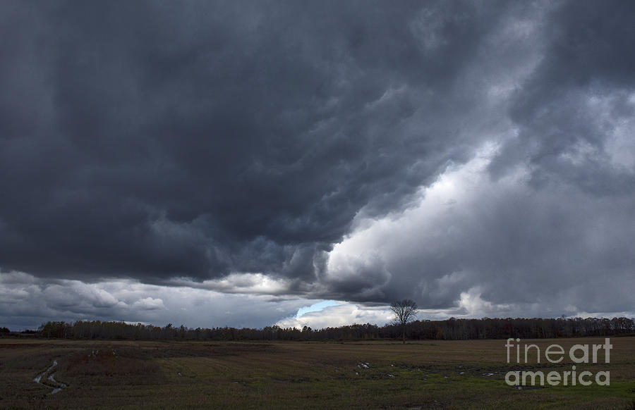 Fall Photograph - Storm... by Nina Stavlund