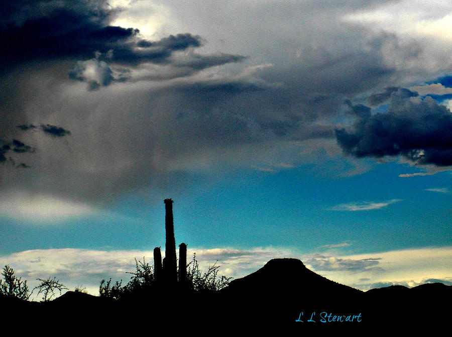 Storm on the Desert Photograph by L L Stewart