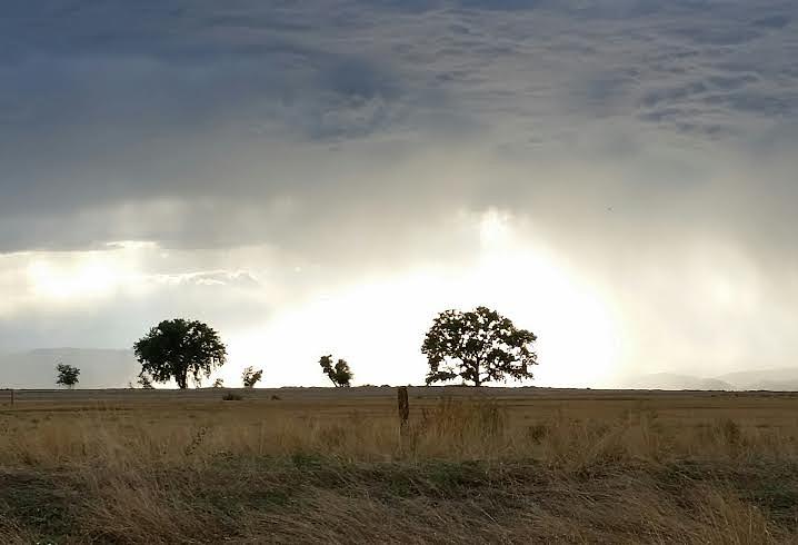 Storm on the Plains Photograph by Dennis Boyd