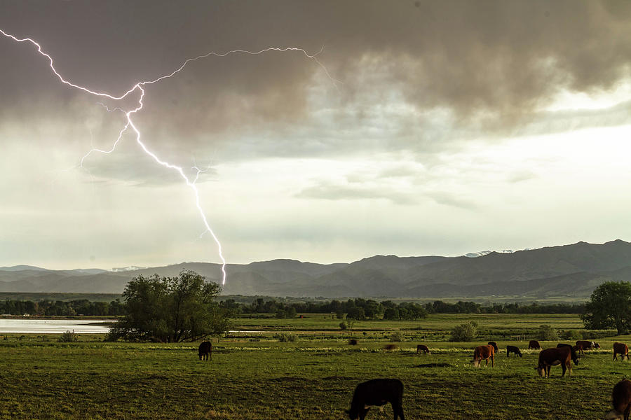 Storm On The Range Photograph by James BO Insogna