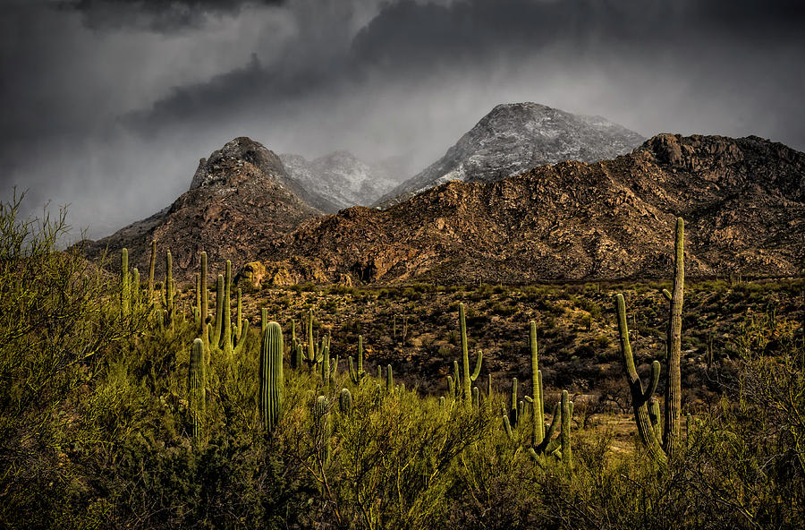Mountain Photograph - Storm Over Catalinas 15 by Mark Myhaver