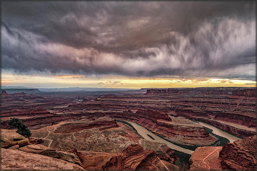 Storm over Deadhorse Point Photograph by Erika Fawcett