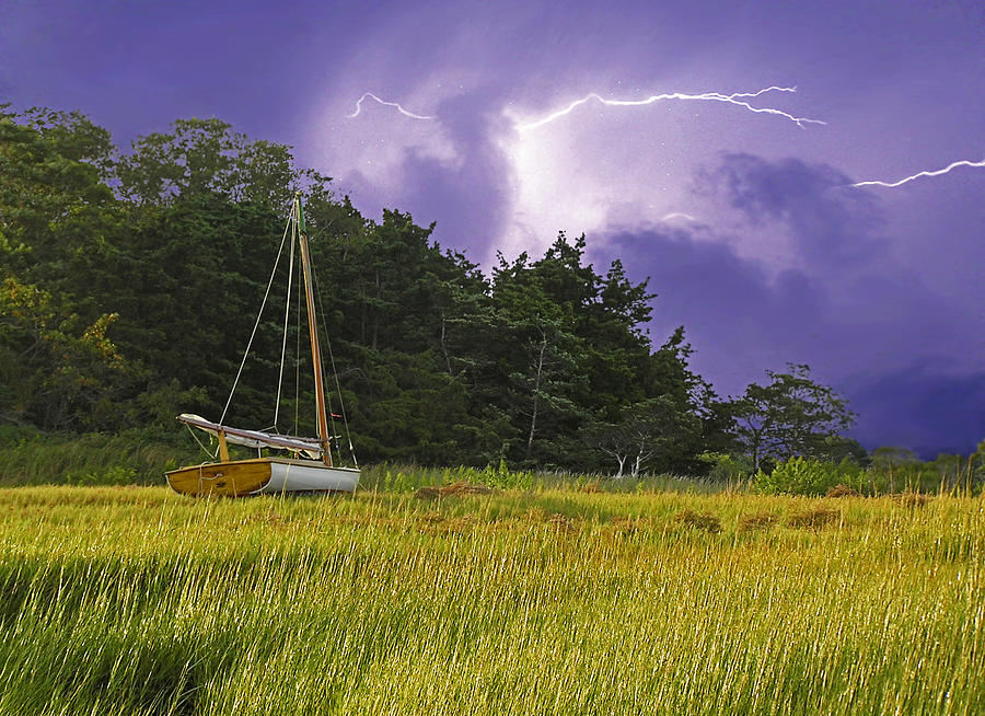 Tree Photograph - Storm Over Knotts Island by Charles Harden
