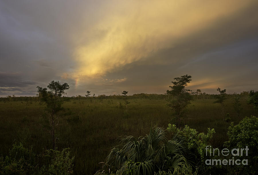 Everglades National Park Photograph - Storm over Sawgrass Prairie by Matt Tilghman