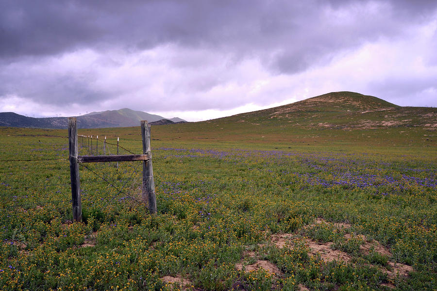 Storm Over the Carrizo Plain Photograph by Kathy Yates