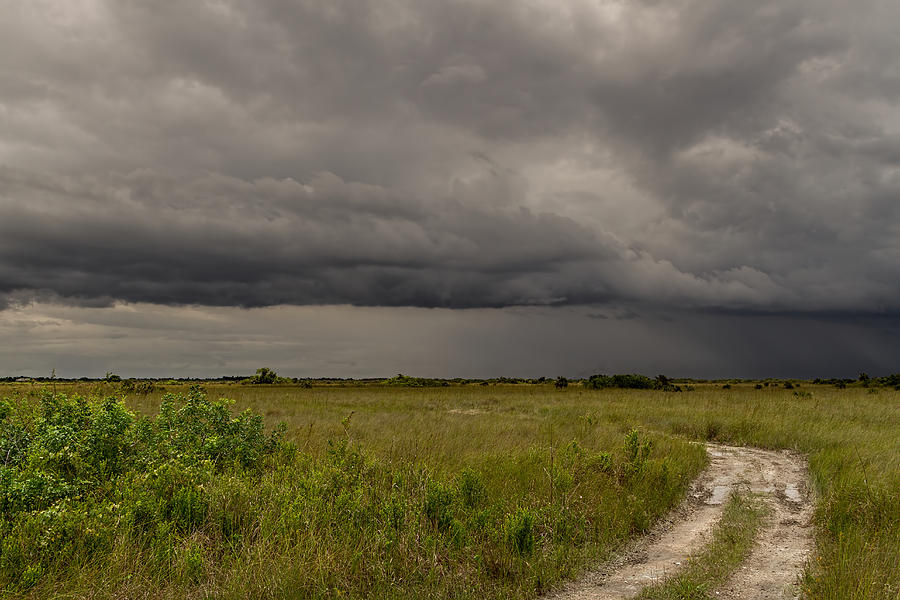 Storm Over the Everglades-2 Photograph by Rudy Umans