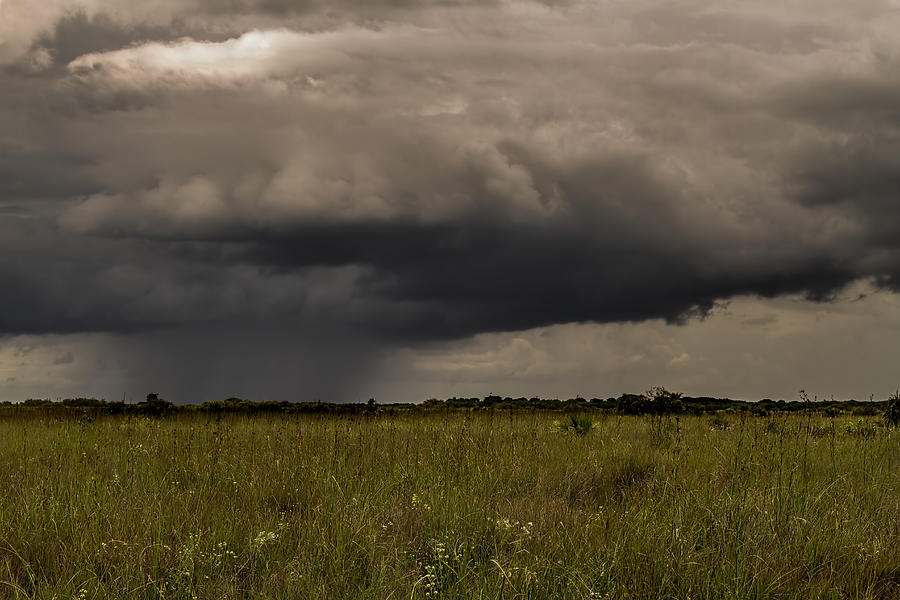 Storm Over the Everglades-3 Photograph by Rudy Umans