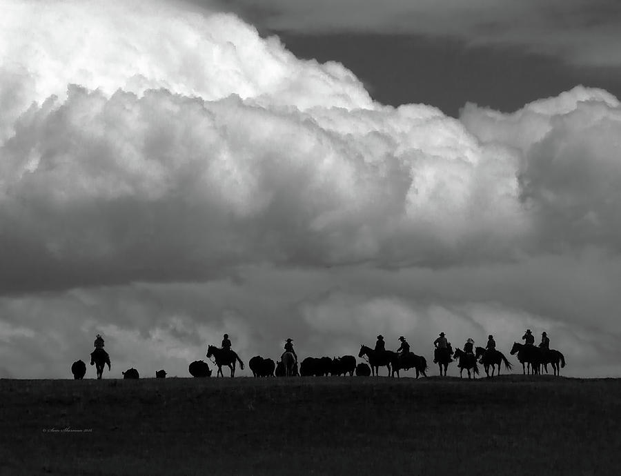 Storm Over the Herd Photograph by Sam Sherman