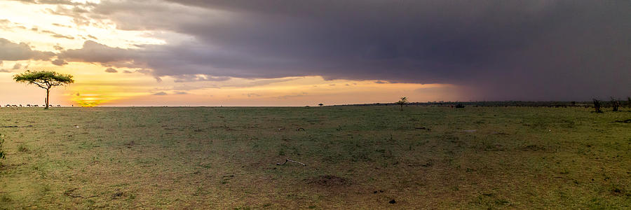 Storm Over the Mara Photograph by Bryan Moore