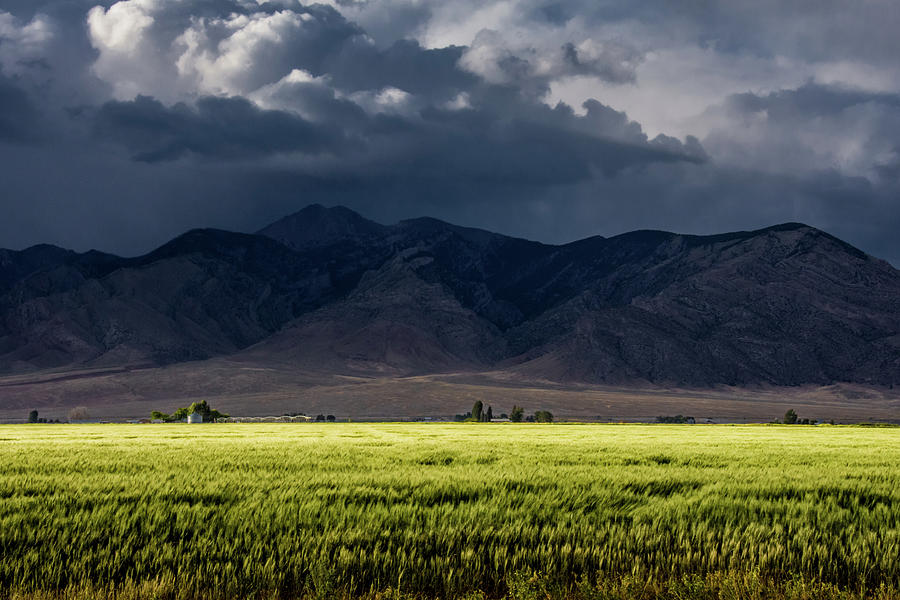 Mountain Photograph - Storm over Wheat by Link Jackson