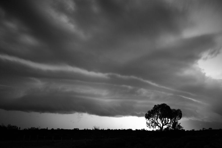 Storm passing over solitary tree in the desert by Keiran Lusk Storm passing over solitary tree in the desert by Keiran Lusk