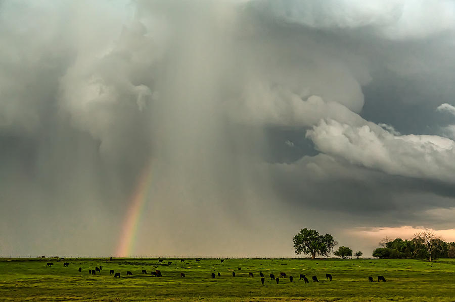 Stormin Rainbow Photograph by James BO Insogna Stormin Rainbow Photograph by James BO Insogna