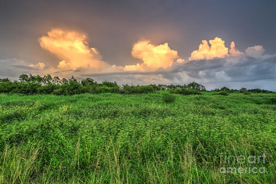 Sunset Photograph - Storms at sunset by Rick Mann