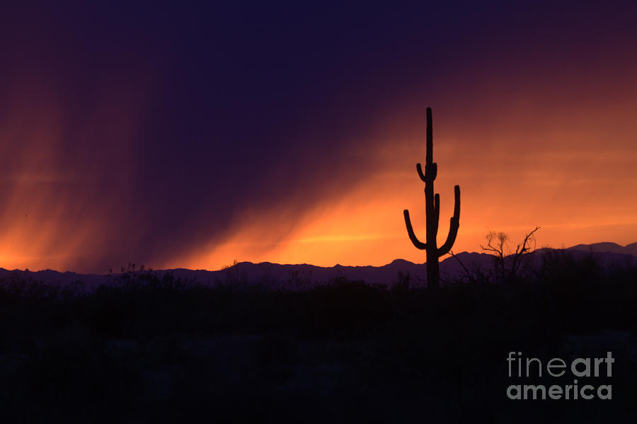 Nature Photograph - Storms brew in Scottsdale by Ruth Jolly