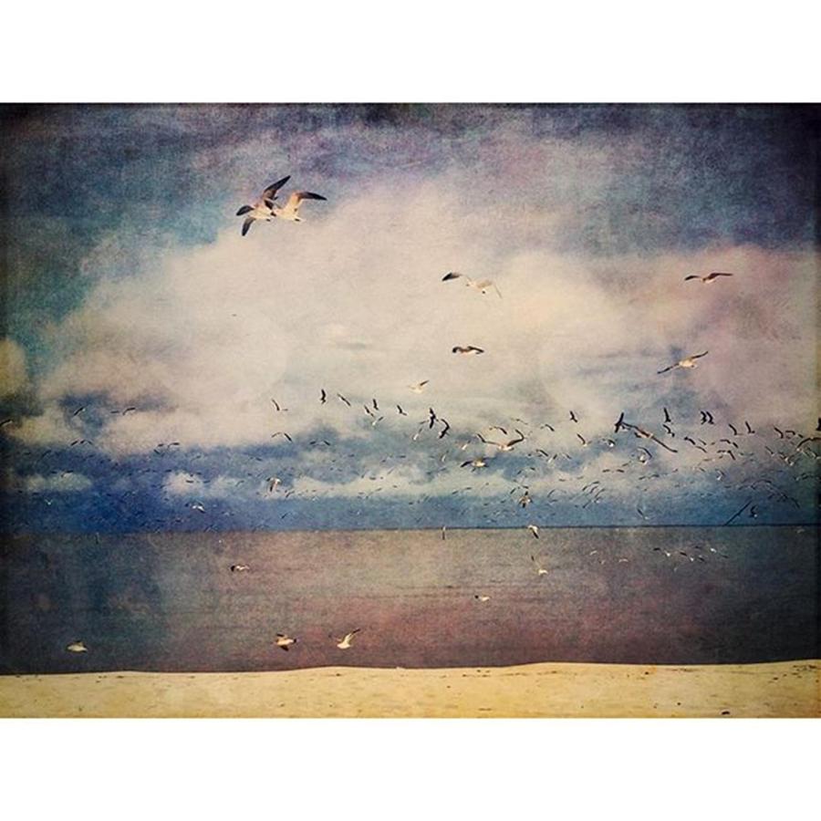 Bird Photograph - Storms Over The Water #beachlife #birds by Joan McCool
