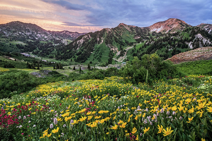 Storms Sunsets and Wildflowers Photograph by Brett Pelletier