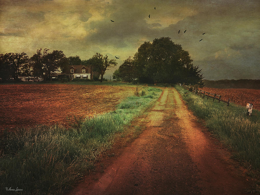 Stormy Abandoned Farmstead Photograph by Anna Louise
