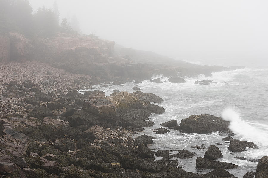 Stormy Acadia Coast Photograph by Dennis Kowalewski