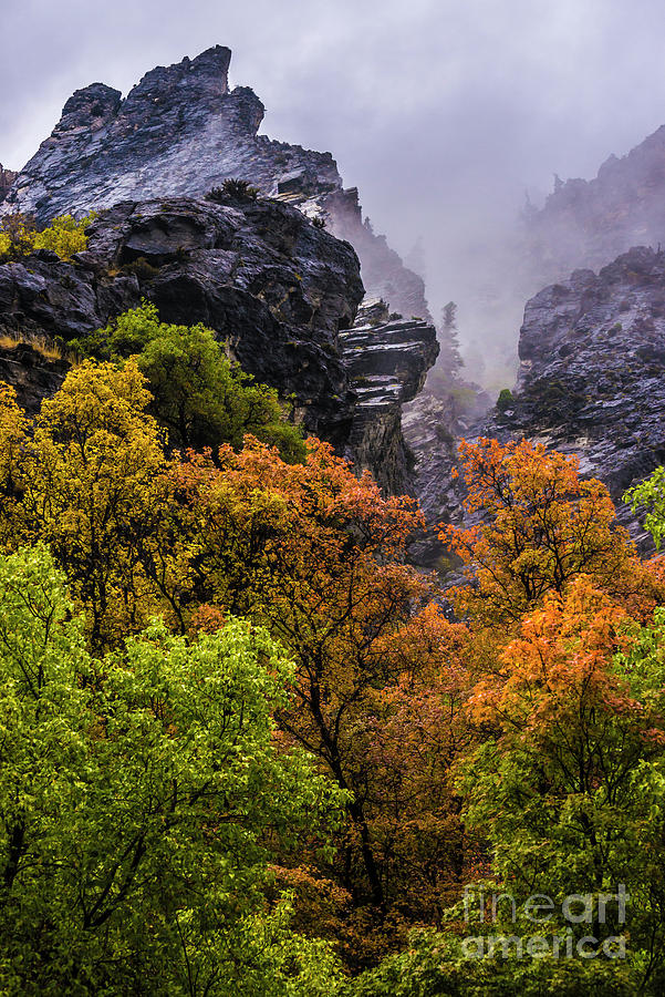 Fall Photograph - Stormy American Fork Canyon - Wasatch - Utah by Gary Whitton