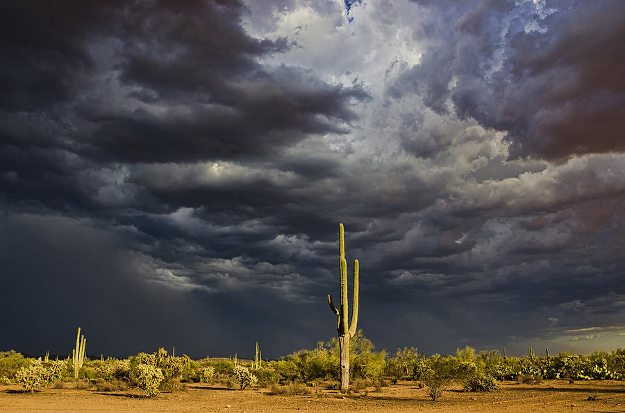 Sunset Photograph - Stormy Arizona Skies  by Saija Lehtonen