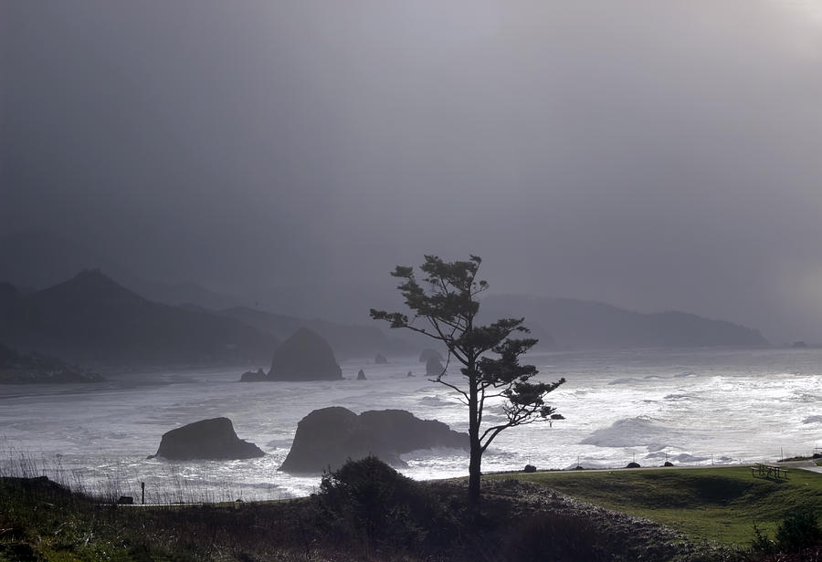 Stormy Beach Photograph by Cathy Anderson