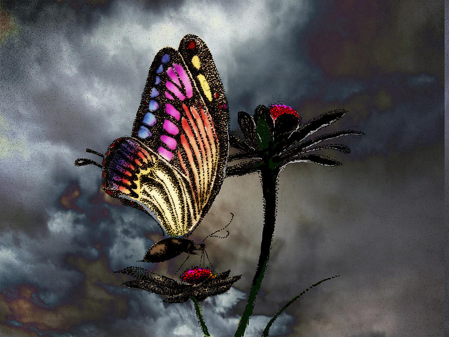 Stormy Butterfly Mixed Media by Tony Kroll