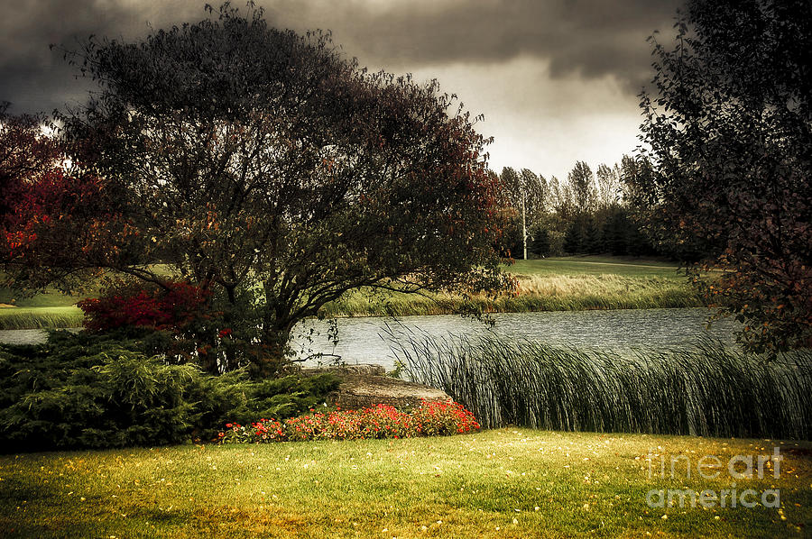 Stormy Day  Photograph by Elaine Manley