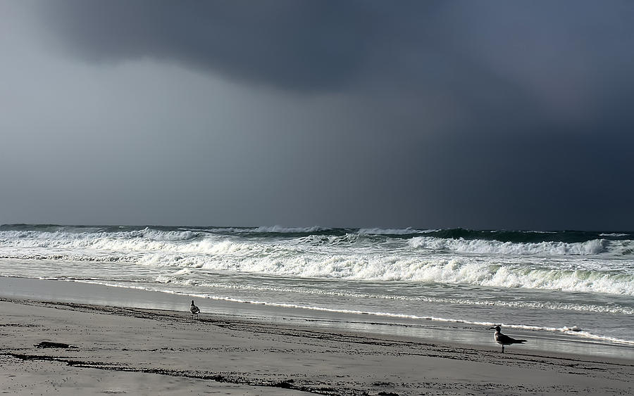 Stormy Photograph by Debra Forand