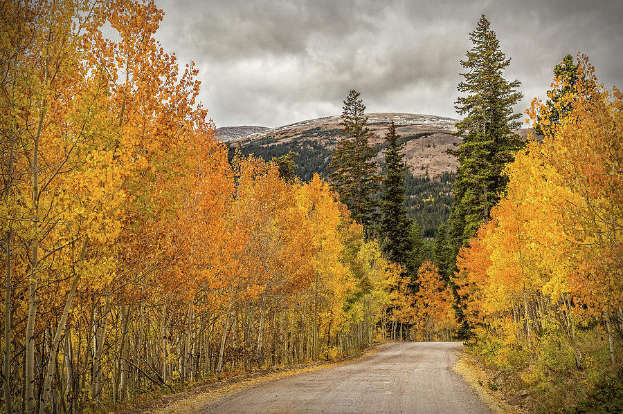 Stormy Fall Day Photograph by Brian Donovan - Fine Art America