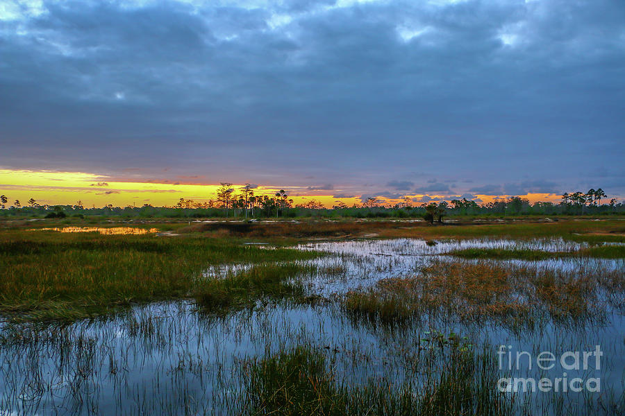 Stormy Marsh Sunrise Photograph by Tom Claud