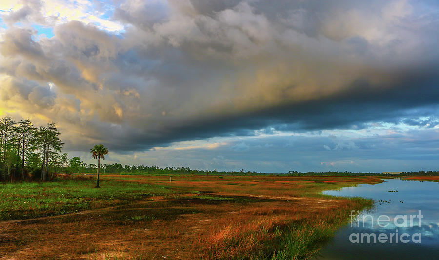 Stormy Marsh Photograph by Tom Claud
